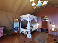 Ngorongoro Safari Lodge