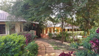Eileen's Trees Inn