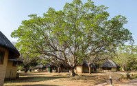 Satara Rest Camp