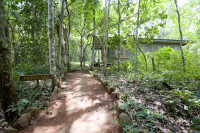 Budongo Eco Lodge