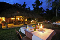 Ishasha Wilderness Camp