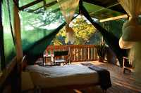 Dzalanyama Forest Lodge