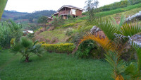 Lake Bunyonyi Rock Resort