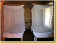 Camp Catta
