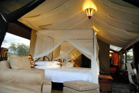Tanzania Bush Camps - Central Serengeti