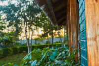 Njia Panda Tented Lodge