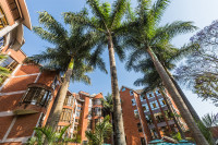 Kibo Palace Hotel