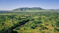 Land of Nature Camp