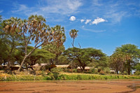 Elephant Bedroom Camp