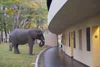 Hwange Safari Lodge