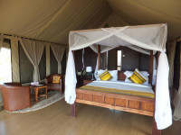 Tarangire Simba Lodge