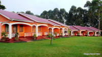 Kluges Guest Farm