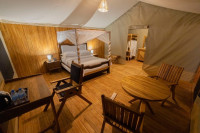 Safari Haven Migration Camp