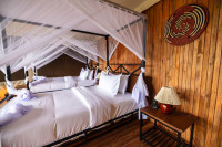 Safari Haven Migration Camp
