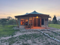 Safari Haven Migration Camp