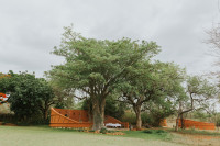 Mohlabetsi Safari Lodge