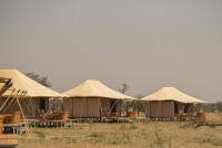 Dove Serengeti Camp