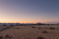 Desert Camp