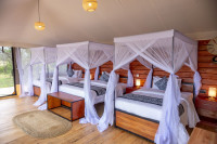 Serengeti Classic View Camp