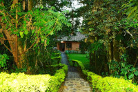 Gisakura Guest House