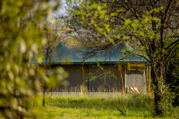 Serengeti Classic View Migration Camp - Ndutu