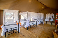 Serengeti Classic View Migration Camp - Ndutu