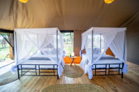 Serengeti Classic View Migration Camp - Kogatende