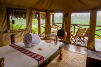 Crater Forest Tented Camp