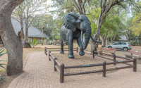 Letaba Rest Camp