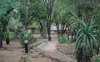 Letaba Rest Camp