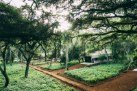 Ngorongoro Tortilis Camp