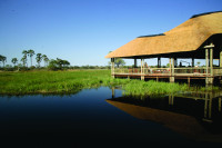 Moremi Crossing