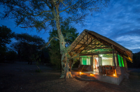 Mvuu Camp