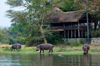 Mvuu Lodge