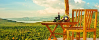 Paradise Lodge