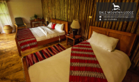 Bale Mountain Lodge