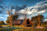 Bomani Tented Camp