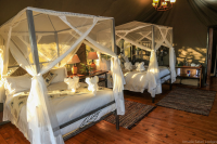 Bomani Tented Camp
