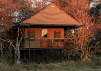 Bomani Tented Camp