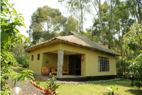 Da Vinci Gorilla Lodge