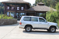 Da Vinci Gorilla Lodge