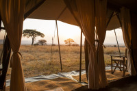 Mara Kati Kati Tented Lodge