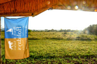 Africa Safari Serengeti Ikoma Camp