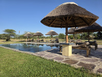Africa Safari Serengeti Ikoma Camp
