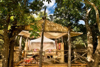 Island Bush Camp