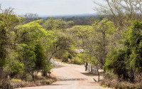 Punda Maria Rest Camp