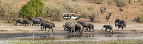 8-Day 3 Countries - Chobe NP, Victoria Falls & Hwange NP