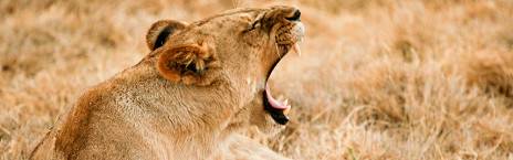 7-Day Best Value Luxury Victoria Falls and Botswana