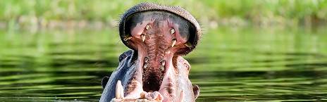 7-Day Best Value Luxury Victoria Falls and Botswana