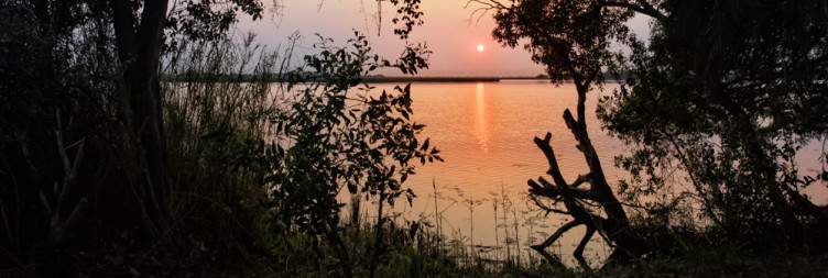 Fly to the Okavango Delta and Chief's Camp